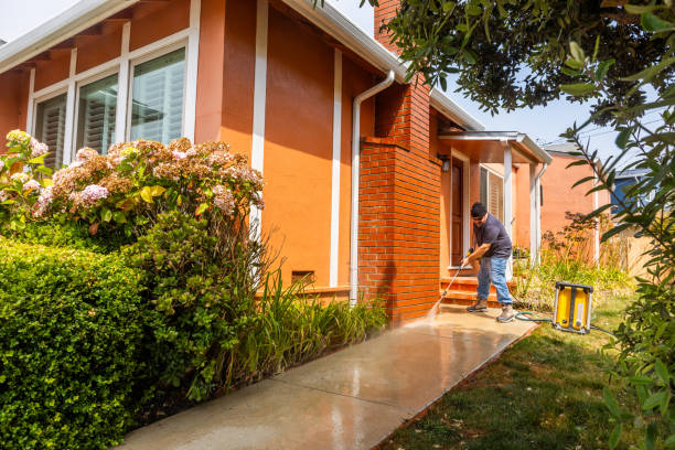 Best Best Pressure Washing Companies  in Fruita, CO