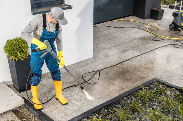 Best Exterior Home Cleaning  in Fruita, CO